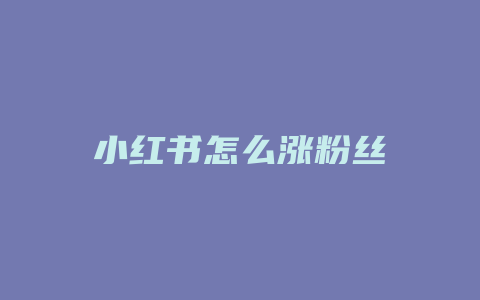 小红书怎么涨粉丝