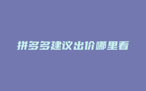 拼多多建议出价哪里看