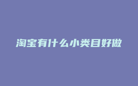 淘宝有什么小类目好做