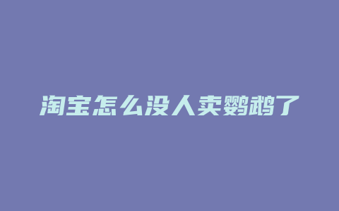 淘宝怎么没人卖鹦鹉了