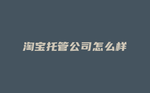 淘宝托管公司怎么样